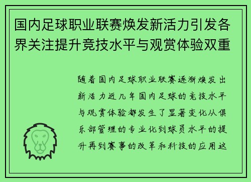 国内足球职业联赛焕发新活力引发各界关注提升竞技水平与观赏体验双重变化